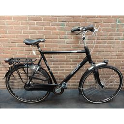 Gazelle orange (44585.8583516)