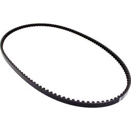 Gates CDN belt Carbon Drive 122 tands zwart (4260510069119)