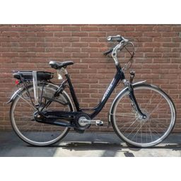 Gazelle orange c7 HM (44112.8543564)