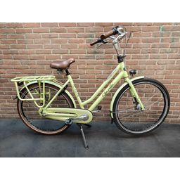 Gazelle Miss grace (44433.8567424)