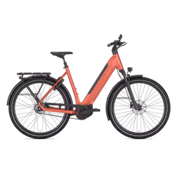 Gazelle ULTIMATE C5+ L57 906 S5 HMB (M) (8717231372630)