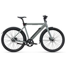Raleigh Raleigh One Heren SAGE GREY 58cm 2025 (8713568562218)
