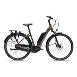 GIANT EXPRESSION E+ DAMES Pyrite Brown M M 2024 (4711291056961)