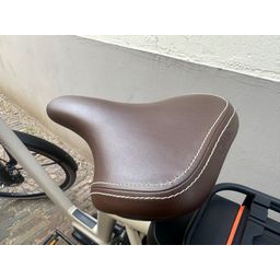 QWIC Echo (Premium MN7D+) 756Wh accu! Dames Maple Sand 54cm L 2024 (8718792042130)