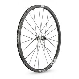 Dt swiss Wiel v 29 dt gr1600 spline 25 db 100/12 (7613052372761)