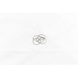 Campagnolo NAAFD CA PALVEER FH-RE114?per stuk (8033874110478)