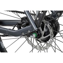 BATAVUS Dinsdag Exclusive Plus, Grijs (8713568449687)