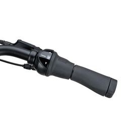 BATAVUS Senz Exclusive Vulkaanzwart 53cm 2025 (8713568519915)