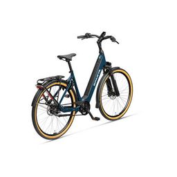 SPARTA d-Rule Energy Dames Teal Green 57cm 2025 (8713568498890)