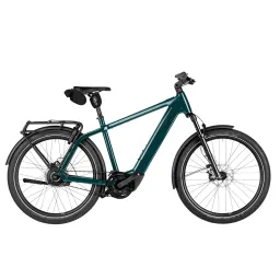 Riese und müller RIESE UND MÜLLER Charger5 vario T Pine L L 2027 (4070477369593)