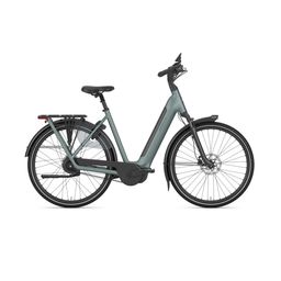GAZELLE Grenoble C310 DAMES Dew Green Mat 61cm 2027 (8717231373651)