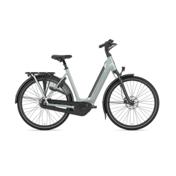 Gazelle GRENOBLE C8 HMB L57 Light olive S8 (8717231371763)