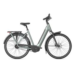 GAZELLE Grenoble C5+ First Edition Dames Twilight Green Mat 53cm 2027 (8717231376737)