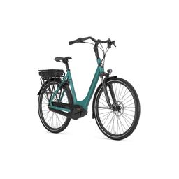 GAZELLE Paris C7+ Dames Thyme Green Mat 49cm 2024 (8717231365977)