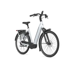 GAZELLE Grenoble C5+ Dames Frozen White Glans 53cm (8717231373873)