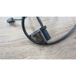 RIH  Trapsensor Ω1 (2181006047881)