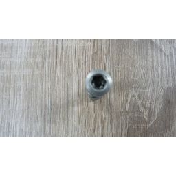 Zadelpenbout inbus rvs (2181006104584)