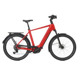 Norta B-5010 Heren uni 2025 (F.13462)