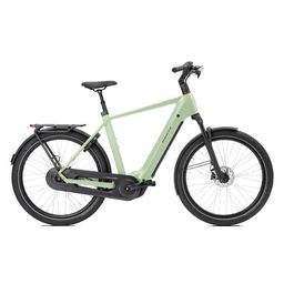 Norta B-4020 Heren Uni 49cm 2026 (F.14484)