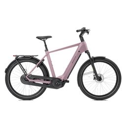 Norta B-4020 Heren Uni 49cm 2026 (F.14484)