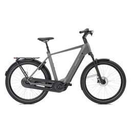 Norta B-4020 Heren Uni 49cm 2026 (F.14484)
