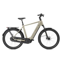 Norta B-4020 Heren Uni 49cm 2026 (F.14484)
