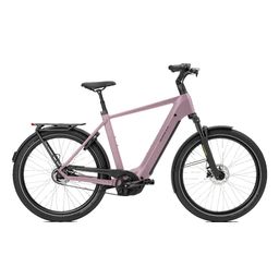 Norta B-3030 Heren Uni 49cm 2026 (F.14448)