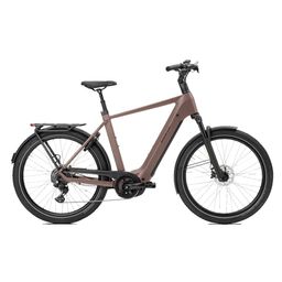 Norta B-3010 Heren Uni 57cm 2026 (F.14430)
