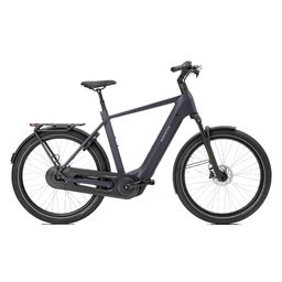 Norta B-3020 Heren Uni 49cm 2026 (F.14438)