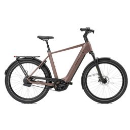 Norta B-3050 Heren Uni 51cm 2026 (F.14464)