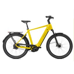 Norta B-4050 Heren Uni 49cm 2026 (F.14514)