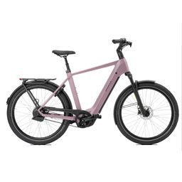 Norta B-4050 Heren Uni 49cm 2026 (F.14514)