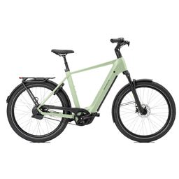 Norta B-4050 Heren Uni 49cm 2026 (F.14514)