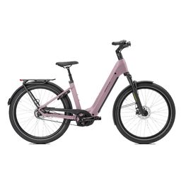 Norta B-4030 Dames Uni 45cm 2026 (F.14488)