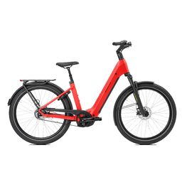 Norta B-3030 Dames Uni 55cm 2026 (F.14446)