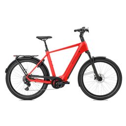 Norta B-4010 Heren Uni 49cm 2026 (F.14474)