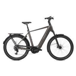 Norta B-4010 Heren Uni 49cm 2026 (F.14474)