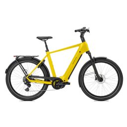 Norta B-4010 Heren Uni 49cm 2026 (F.14474)
