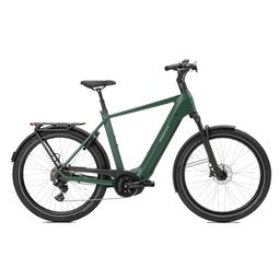 Norta B-4010 Heren Uni 49cm 2026 (F.14474)