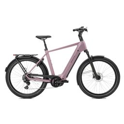 Norta B-4010 Heren Uni 49cm 2026 (F.14474)