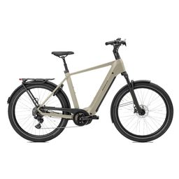 Norta B-4010 Heren Uni 49cm 2026 (F.14474)