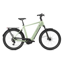 Norta B-4010 Heren Uni 49cm 2026 (F.14474)