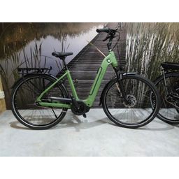 Velo de Ville CEB590, Olive Green mat (F.19350)