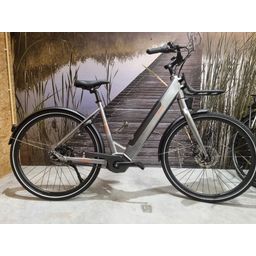 Freebike Flushing, Grijs (F.20726)
