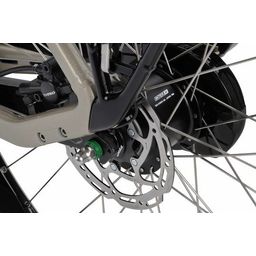 Batavus Finez e-go pt bes-3 dn8 champagengoud 53 no batt (8713568497039)