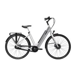 QWIC Essential Dames Brushed Aluminium M 49cm M 2025 (8718792548427)