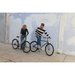 Brik Bikes Brut Dames Zijdegrijs 56cm 2026 (F.22590)
