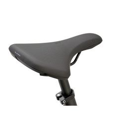 BATAVUS Fonk 3 Dames Smokingzwart Mat 53cm 2024 (8713568420303)