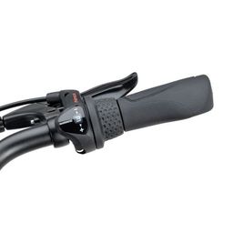 BATAVUS Fonk 3 Dames Smokingzwart Mat 53cm 2024 (8713568420303)