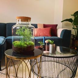 Urbanjngl DIY terrarium - Jar Christmas - ↕ 28 cm (8719327599822)
